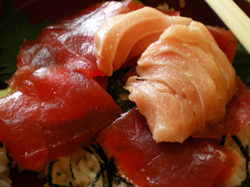 tuna tuna